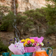 Garden Party